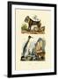 King Penguin, 1833-39-null-Framed Giclee Print