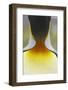 King Penguin (Aptenodytes patagonicus) adult, close-up of neck, Salisbury Plain, South Georgia-Bill Coster-Framed Photographic Print