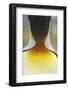 King Penguin (Aptenodytes patagonicus) adult, close-up of neck, Salisbury Plain, South Georgia-Bill Coster-Framed Photographic Print