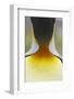 King Penguin (Aptenodytes patagonicus) adult, close-up of neck, Salisbury Plain, South Georgia-Bill Coster-Framed Photographic Print