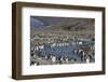 King Penguin (Aptenodytes Patagonicus) Breeding Colony at St. Andrews Bay, South Georgia-Michael Nolan-Framed Photographic Print