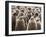 King Penguin (Aptenodytes Patagonicus) Chick Creche, Volunteer Point, East Falkland-Eleanor Scriven-Framed Photographic Print