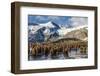 King Penguin (Aptenodytes Patagonicus) Chicks-Michael Nolan-Framed Photographic Print