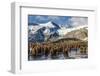 King Penguin (Aptenodytes Patagonicus) Chicks-Michael Nolan-Framed Photographic Print