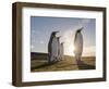 King Penguin (Aptenodytes patagonicus) on the Falkland Islands in the South Atlantic.-Martin Zwick-Framed Photographic Print