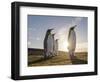 King Penguin (Aptenodytes patagonicus) on the Falkland Islands in the South Atlantic.-Martin Zwick-Framed Photographic Print