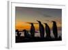 King Penguin (Aptenodytes Patagonicus) Silhouetted at Sunrise at Breeding Colony at Gold Harbor-Michael Nolan-Framed Photographic Print