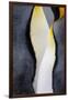 King penguin close-up showing the colorful curves of their feathers. St. Andrews Bay, South Georgia-Tom Norring-Framed Photographic Print