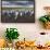 King Penguin Colony on the Falkland Islands, South Atlantic-Martin Zwick-Framed Photographic Print displayed on a wall