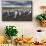 King Penguin Colony on the Falkland Islands, South Atlantic-Martin Zwick-Mounted Premium Photographic Print displayed on a wall