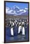 King Penguin Colony-Paul Souders-Framed Photographic Print