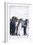 King Penguin Leading Friends-DLILLC-Framed Premium Photographic Print