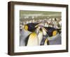 King Penguin on the Falkland Islands in the South Atlantic.-Martin Zwick-Framed Photographic Print