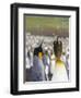 King Penguin on the Falkland Islands in the South Atlantic.-Martin Zwick-Framed Photographic Print