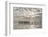 King Penguin on the Falkland Islands in the South Atlantic.-Martin Zwick-Framed Photographic Print