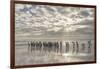 King Penguin on the Falkland Islands in the South Atlantic.-Martin Zwick-Framed Photographic Print