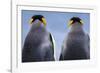 King penguin pair, South Georgia Island-Art Wolfe Wolfe-Framed Photographic Print