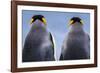 King penguin pair, South Georgia Island-Art Wolfe Wolfe-Framed Photographic Print