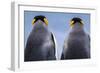 King penguin pair, South Georgia Island-Art Wolfe Wolfe-Framed Photographic Print