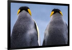 King penguin pair, South Georgia Island-Art Wolfe Wolfe-Framed Photographic Print