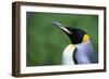 King Penguin Profile-Paul Souders-Framed Photographic Print