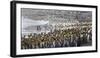 King penguin rookery at Salisbury Plain, South Georgia Islands.-Tom Norring-Framed Photographic Print