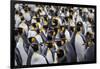 King penguin rookery at Salisbury Plain. South Georgia Islands.-Tom Norring-Framed Photographic Print