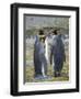 King Penguin rookery in St. Andrews Bay. Courtship behavior. South Georgia Island-Martin Zwick-Framed Photographic Print