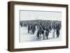 King Penguin Rookery-DLILLC-Framed Photographic Print