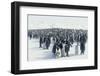 King Penguin Rookery-DLILLC-Framed Photographic Print