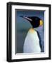 King Penguin, South Georgia Island, Antarctica-Art Wolfe-Framed Photographic Print