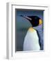 King Penguin, South Georgia Island, Antarctica-Art Wolfe-Framed Photographic Print