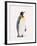 King Penguin, South Georgia Island-Lynn M^ Stone-Framed Premium Photographic Print