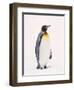 King Penguin, South Georgia Island-Lynn M^ Stone-Framed Premium Photographic Print