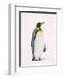 King Penguin, South Georgia Island-Lynn M^ Stone-Framed Premium Photographic Print