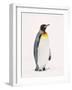 King Penguin, South Georgia Island-Lynn M^ Stone-Framed Photographic Print