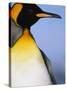 King Penguin-Paul Souders-Stretched Canvas