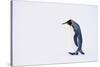 King Penguin-DLILLC-Stretched Canvas