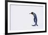 King Penguin-DLILLC-Framed Photographic Print