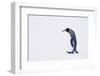 King Penguin-DLILLC-Framed Photographic Print