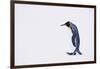 King Penguin-DLILLC-Framed Photographic Print