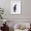 King Penguin-DLILLC-Framed Photographic Print displayed on a wall