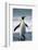 King Penguin-DLILLC-Framed Photographic Print