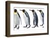 King Penguin-Anna Kucherova-Framed Photographic Print