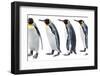 King Penguin-Anna Kucherova-Framed Photographic Print