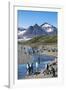 King penguins (Aptenodytes patagonicus) in beautiful scenery, Salisbury Plain, South Georgia, Antar-Michael Runkel-Framed Photographic Print