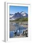 King penguins (Aptenodytes patagonicus) in beautiful scenery, Salisbury Plain, South Georgia, Antar-Michael Runkel-Framed Photographic Print