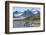 King penguins (Aptenodytes patagonicus) in beautiful scenery, Salisbury Plain, South Georgia, Antar-Michael Runkel-Framed Photographic Print