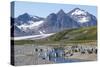 King penguins (Aptenodytes patagonicus) in beautiful scenery, Salisbury Plain, South Georgia, Antar-Michael Runkel-Stretched Canvas