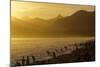 King Penguins (Aptenodytes Patagonicus) On Beach At Sunrise, South Georgia Island, March-Russell Laman-Mounted Photographic Print